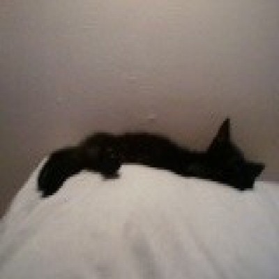 snickerssleeping 400x400.jpg