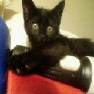 snickerswithherflashlight 400x400.jpg