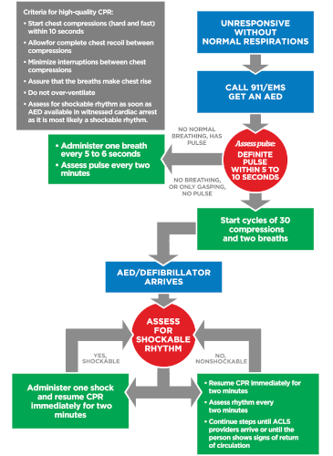 bls algorithm adult.gif