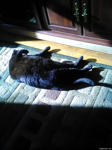 Snickers 5 16 24 1.jpg