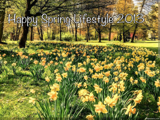 Spring Header From Mr 800x800 320x800 2 320x240.jpg