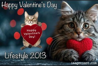 Valentines 2025 7 From Mr.jpg