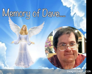 The Header For Daves Group 1.png