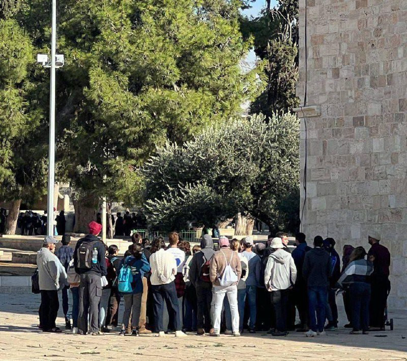 مستوطنون وطلاب معاهد توراتية يقتحمون المسجد الأقصى بحماية قوات الاحتلال...