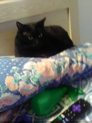 TAFFY MANS FAVORITE SPOT 9 12 22.jpg