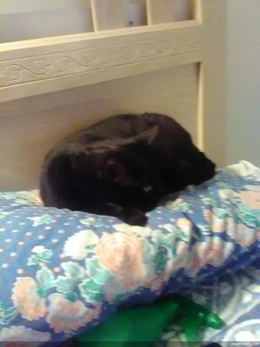 TAFFY MANS FAVORITE SPOT 9 12 22 2.jpg