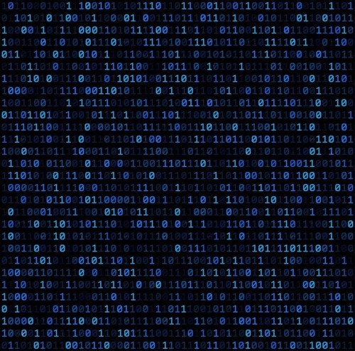 Bots Fields Image