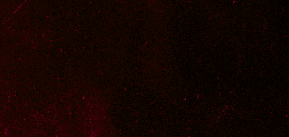 image (20) (1).png