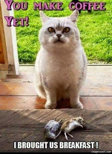 From Sunny 10 17 22 1.jpg