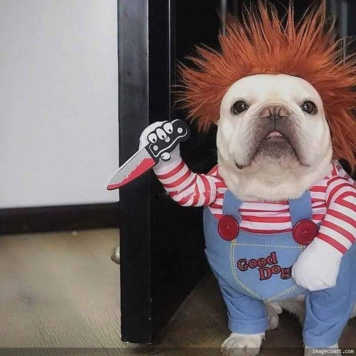 Teresa 1 10 7 22.jpg