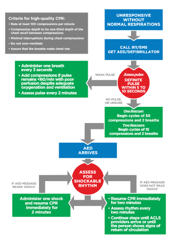 pediatric bls algorithm.gif