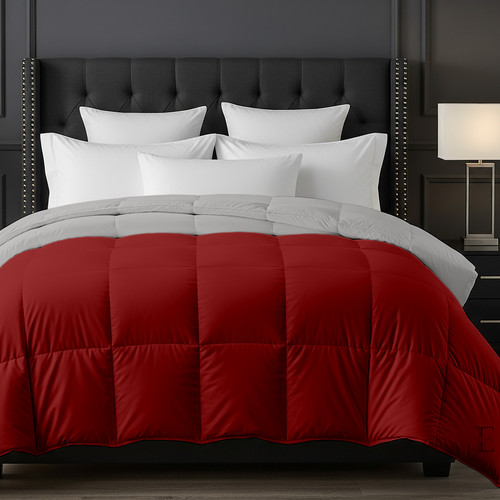 Burgundy Silver (2).jpg