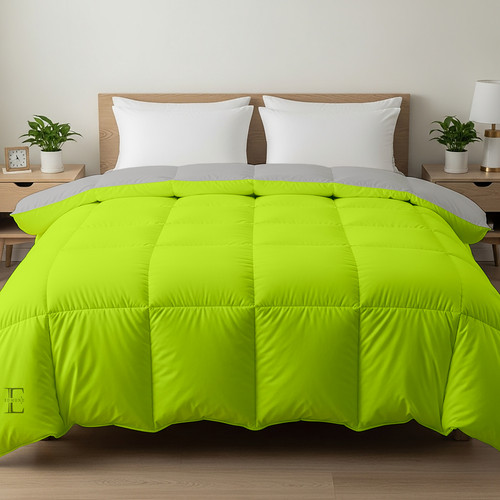 Parrot Silver (7).jpg