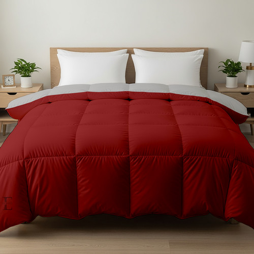 Burgundy Silver (7).jpg