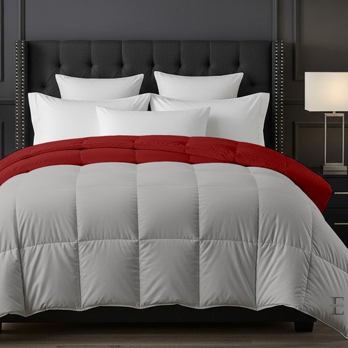 Burgundy Silver (1).jpg