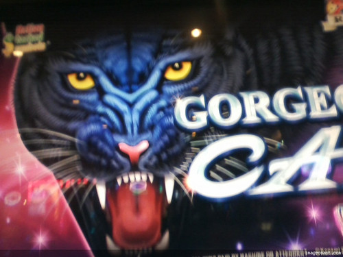 Moms Winning Slot 5 11 21.jpg