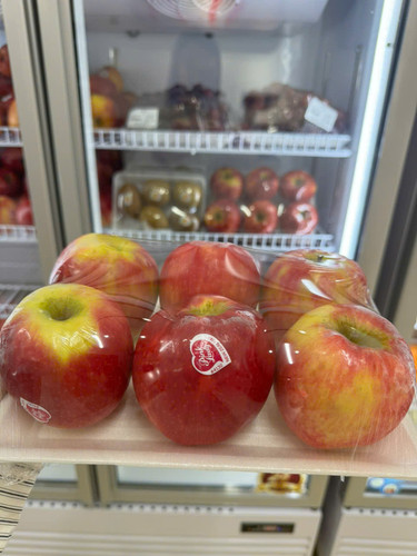 z7236425927828 98858241997843195af397fc7e7f7ea8.jpg