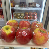 z7236425927828 98858241997843195af397fc7e7f7ea8