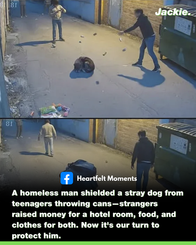 21.png