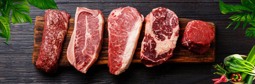 BANNER THIT 45x15 scaled.jpg