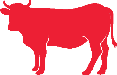 Layer 0.png