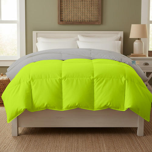 Parrot Silver (18).jpg