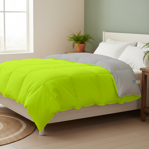 Parrot Silver (16).jpg