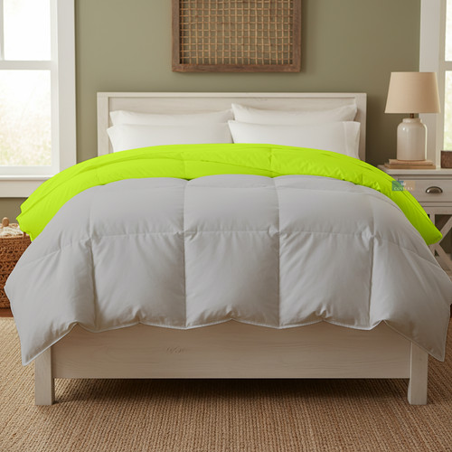 Parrot Silver (17).jpg