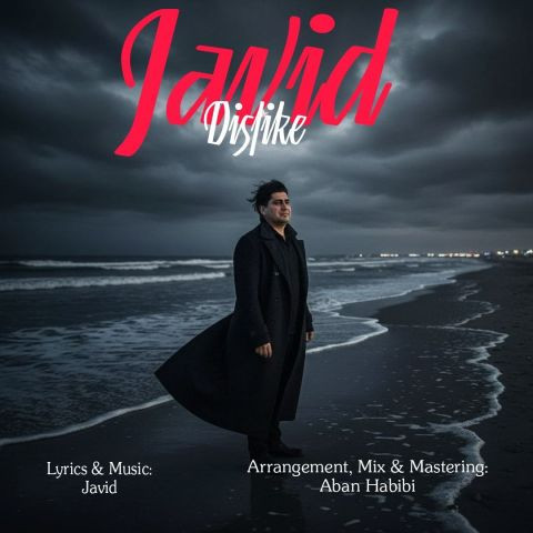 دانلود آهنگ جاوید به نام دوست ندارم