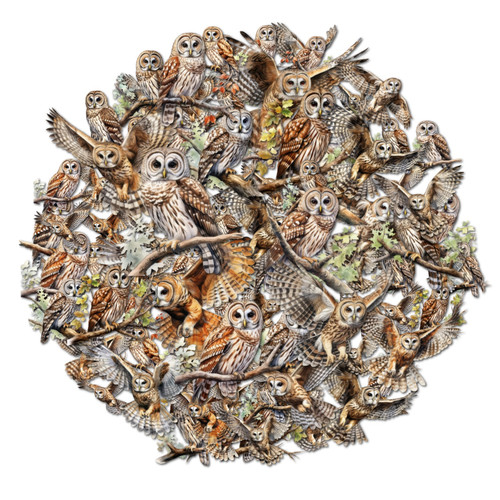 Made using FigrCollage from www.FigrCollage.com.jpg