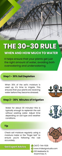 The 30-30 Rule: When and How Much to Water.jpg
