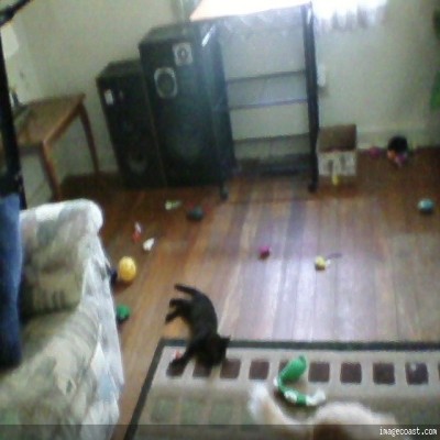 tornadosnickers 400x400.jpg