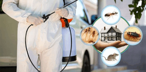 Pest control Services.gif
