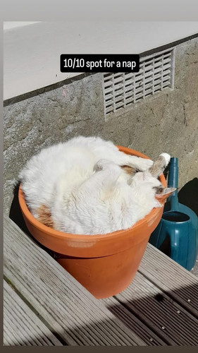 IMG 20250313 132313 985.jpg