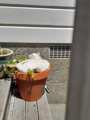 WhatsApp Image 2025 11 23 at 20.01.12 b3d5c11d.jpg