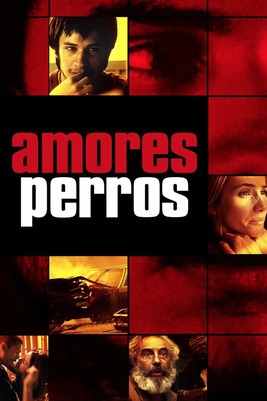 Amores Perros [2000] [BD25-FRA] [Latino]