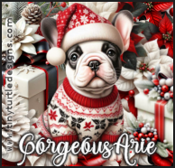 103 GorgeousArie1 vi.png