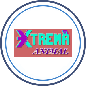 xtrema.png