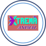xtrema
