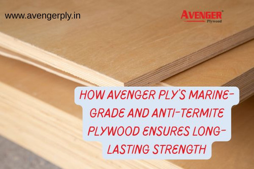 How Avenger Ply’s Marine Grade & Anti Termite Plywood Ensures Long Lasting Strength.jpg