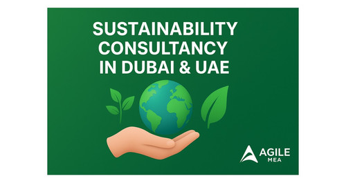 Top Sustainability and ESG Consulting Firm in UAE.jpg