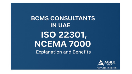 NCEMA 7000 Framework Implementation for UAE Companies.jpg