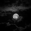 D152A84D F643 4666 A81F 4010BD37E9F5.jpg