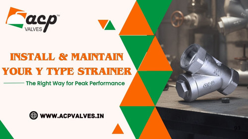 photo 2025 11 21 12 08 11.jpg