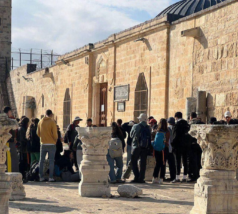 اقتحم 187 مستعمرًا المسجد الأقصى خلال فترتي الاقتحامات الصباحية والمسائية التي فرضها الاحتلال كأمر واقع، فيما بلغ عدد السيّاح الذين دخلوا إلى المسجد ا...