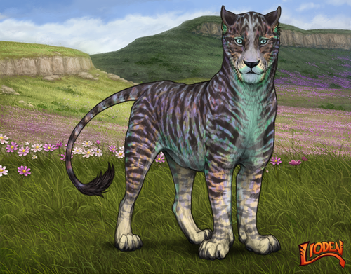 lioden wardrobe 2026 01 30T112350.947.png