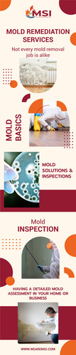 Professional Mold Inspection Services Protect Your Home with MSI.jpg