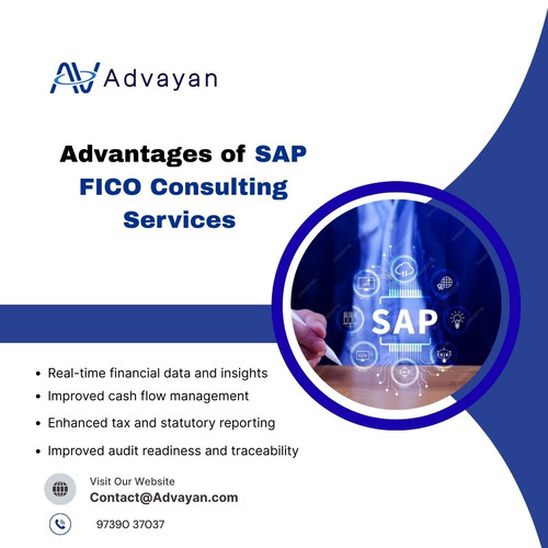 Advantages of SAP FICO Consulting Services.jpg