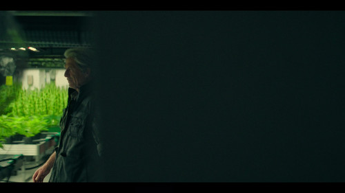 frame1.jpg