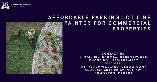 Affordable Parking Lot Line Painter for Commercial Properties.jpg